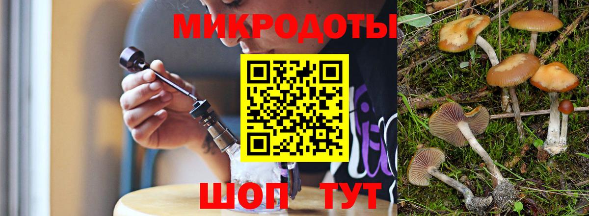 Псилоцибиновые грибы Psilocybe  Вход с VPN  Псилоцибиновые грибы мухоморы  Владивосток 