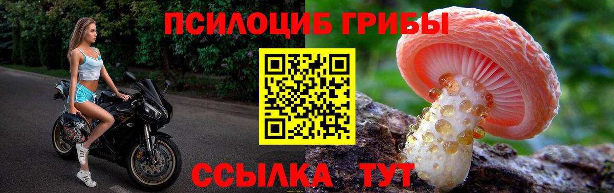 Галлюциногенные грибы ЛСД Владивосток